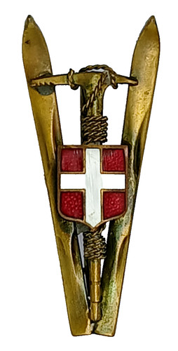 Insigne montagne ski msk - insigne,