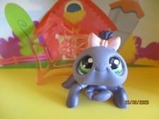 Petshop Araignée #329 +