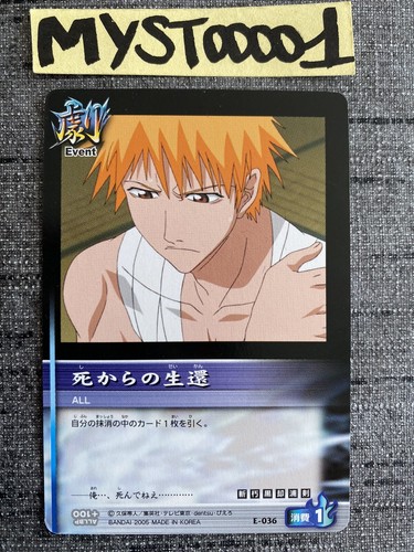 Ichigo kurosaki bleach soul - kurosaki,