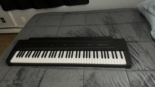 Roland digital piano - roland,