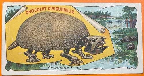 Chromo chocolat aiguebelle - chocolat, d’aiguebelle