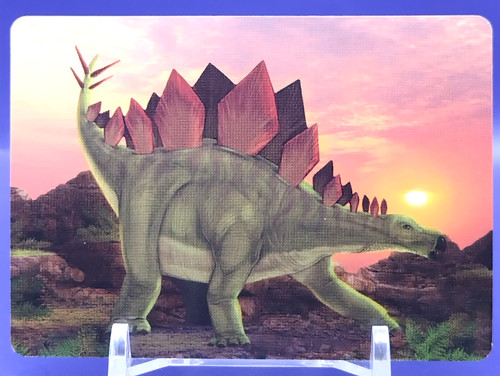 Cartes stegosaurus - cartes,