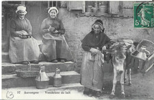 CPA Auvergne - Davayat ( tampon ) - Métier -  Vendeuse de lait - Ane -