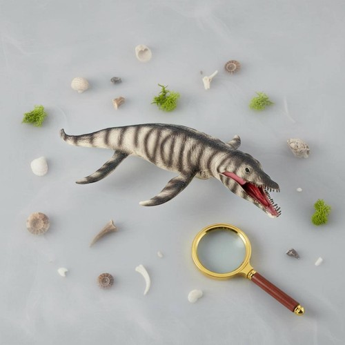 Modèle dinosaure couleurs - modèle,