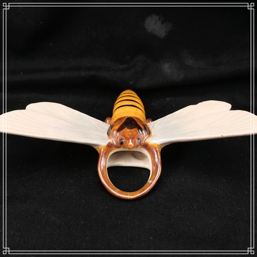 Insecte barbotine de - insecte,