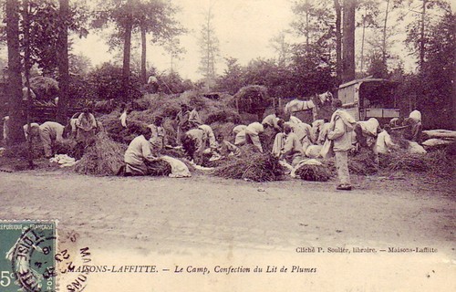 Cpa yvelines - cpa,