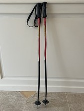 Bâton de ski Racetiger 90cm