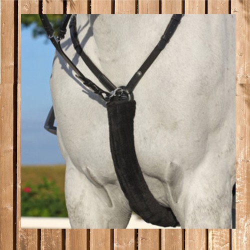 Breastplate protector - breastplate,