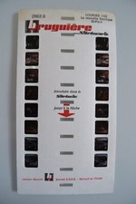 LOURDES BASILIQUE ST PIE X