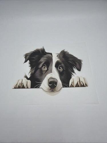 Autocollant border collie - autocollant,