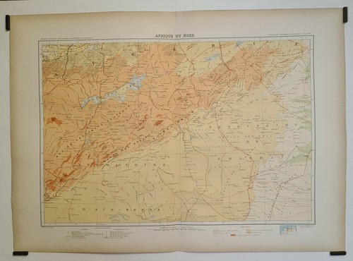 Bergelin afrique du nord - bergelin,