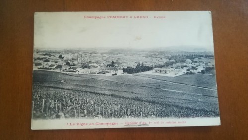 Cpa vigne en - 51,