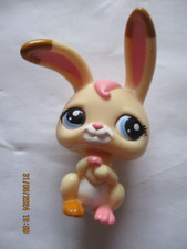 PETSHOP  LAPIN DE GARENNE