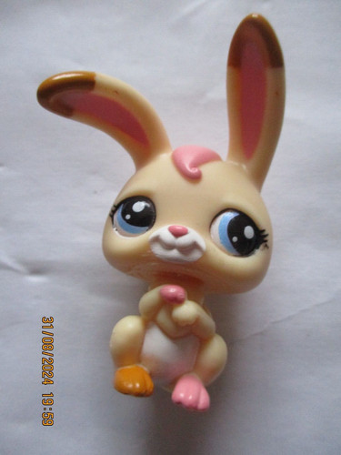 Petshop lapin garenne - , de