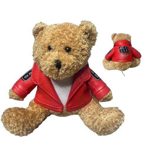 Dale earnhardt plush teddy - jr,