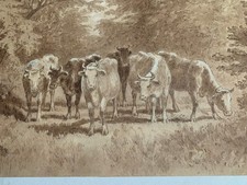 DESSIN ANCIEN encre lavis