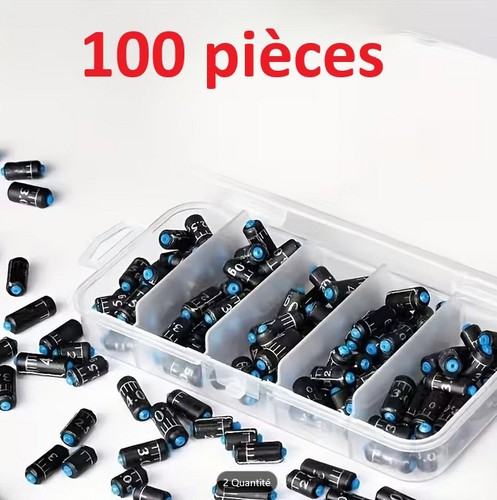 100 plombs pêche - de,