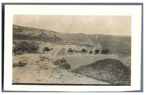 Proche orient caravane de - orient,,