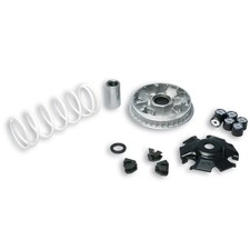 Variateur MALOSSI Multivar