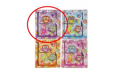Journal intime carnet secret - journal, /carnet
