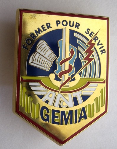Tchad gemia ant - tchad,