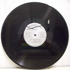 33T MIKE BRANT Disque LP