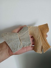 36. Ébauches en corne de cerf