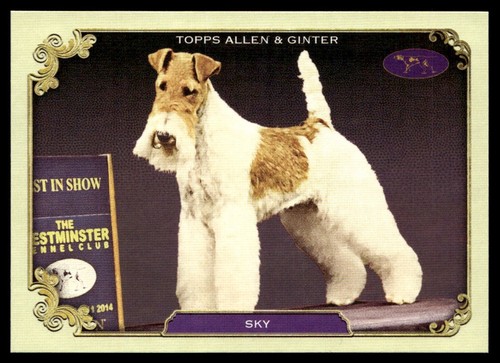 2024 topps allen ginter - topps,