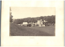 Collodion, Luscombe vintage albumen print from collodion negatif, English Amateu