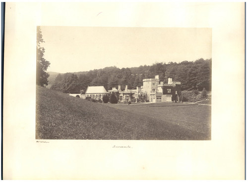 Collodion luscombe vintage - collodion,,