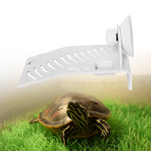 Tortue aquatique basking rampe - aquatique,