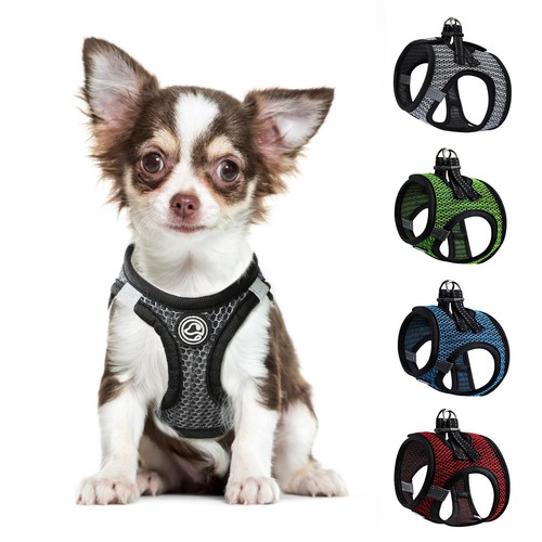 Shifenmei step dog - step, harness