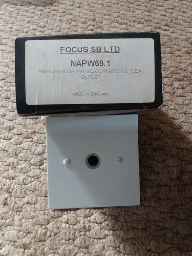 Focus forbes lomax - &,