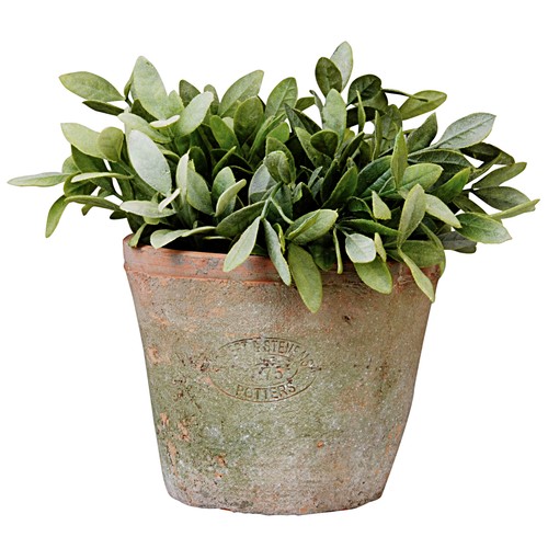 Pot fleurs terracotta - pot, en