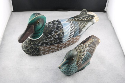 Canards bois enten - canards, en