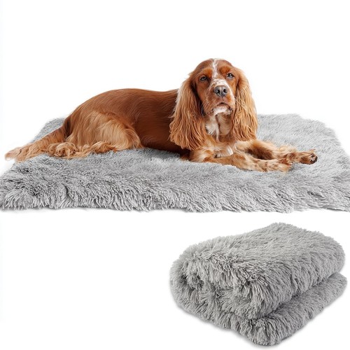 Couverture pour chien - pour,