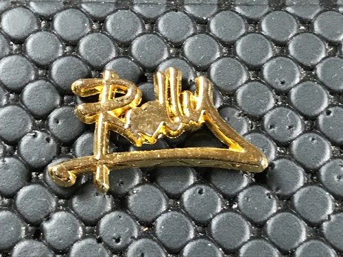Pins pin badge - pin,
