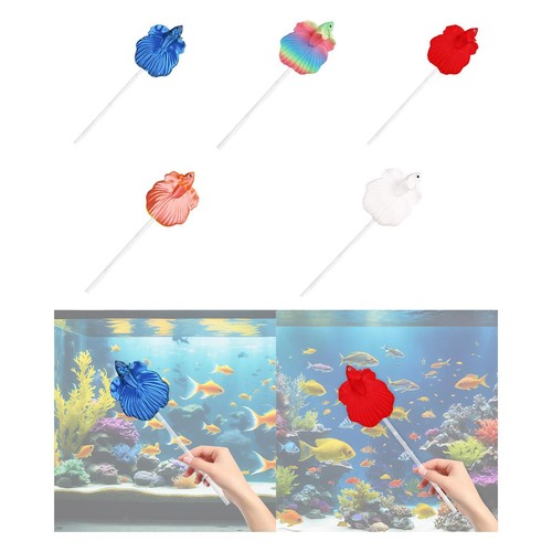 Entraînement pour poissons - d'entraînement,