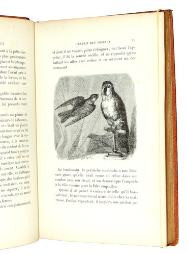 Animaux henry berthoud - henry,