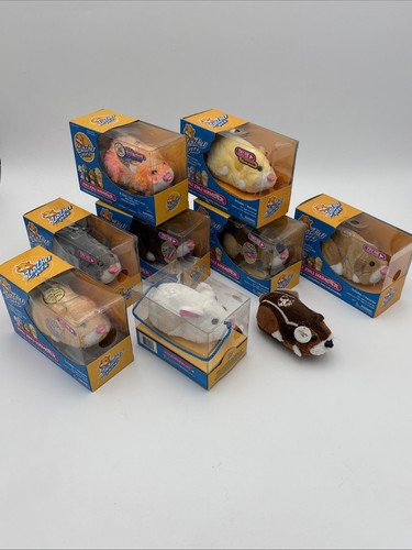 Zhu pets hamsters lot - zhu, of