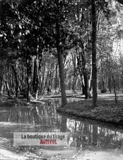 Promenade à bicyclette, sous-bois, plaque verre, photo ancienne, négatif 9x12 cm
