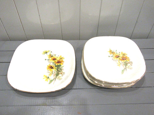 Série assiettes plates - 7,