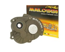 Carter de transmission Malossi