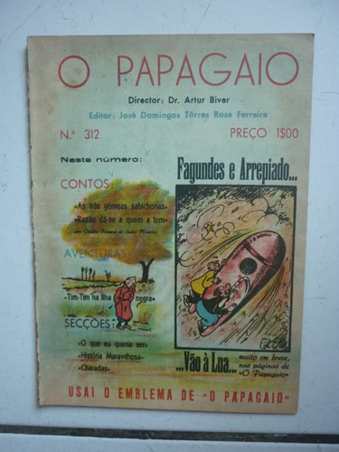 Papagaio tintin - (,