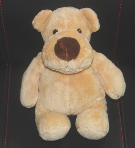 Doudou chien ours beige nez - doudou,