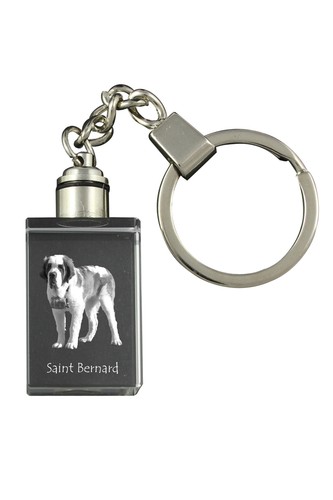 Saint bernard porte clés - saint-bernard, en