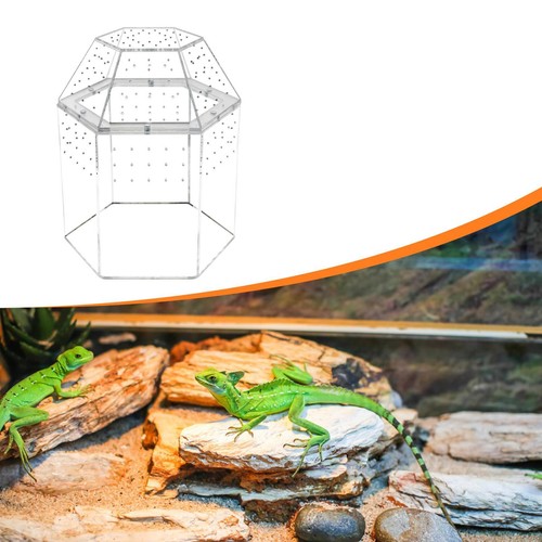 Terrarium acrylique pour