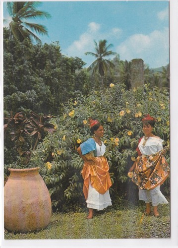Carte postale cpm martinique - martinique,