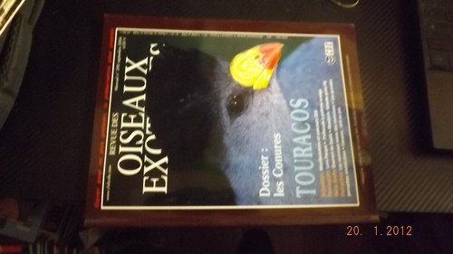 Revue cde oiseaux - revue,