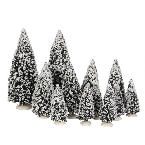 Luville evergreen tree - luville,